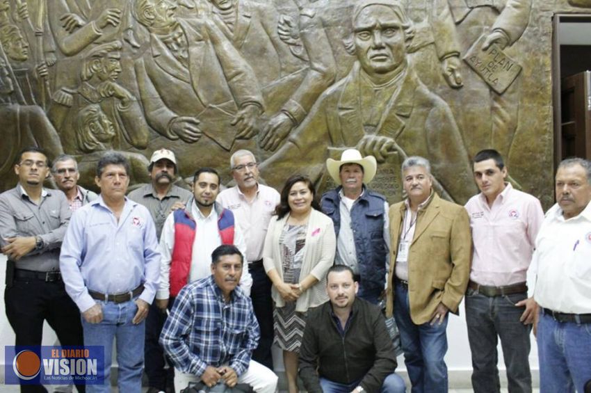 Protección al sector ganadero en Michoacán debe cristalizarse en esta legislatura: Belinda Iturbide