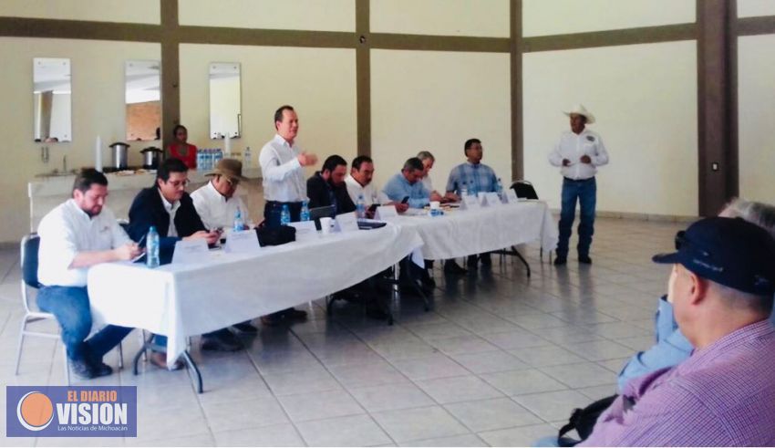 Sedrua atiende de manera integral brote de plagas en cultivos de zarzamora de Los Reyes