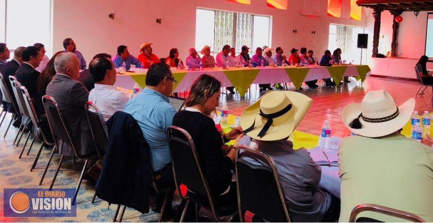 Promueve Sedrua nuevos mercados para el aguacate michoacano  