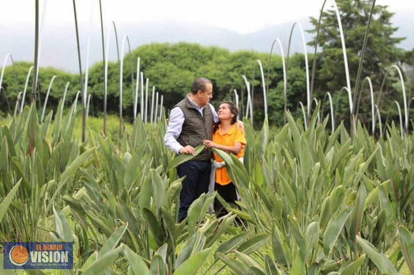 Para el Programa de Concurrencia en el Agro, 100 mdp: Sigala