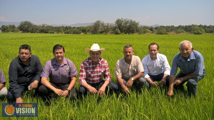 Modernizará Sedrua infraestructura de arroceros: Sigala