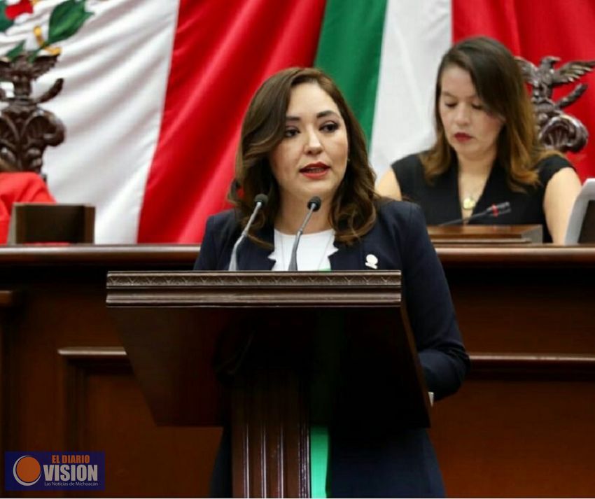 Se promovieron normas para protección de animales: Noemí Ramírez
