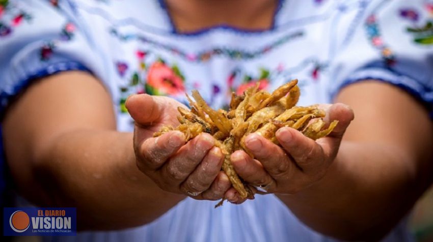242 platillos en el Festival de la Gastronomía Michoacana