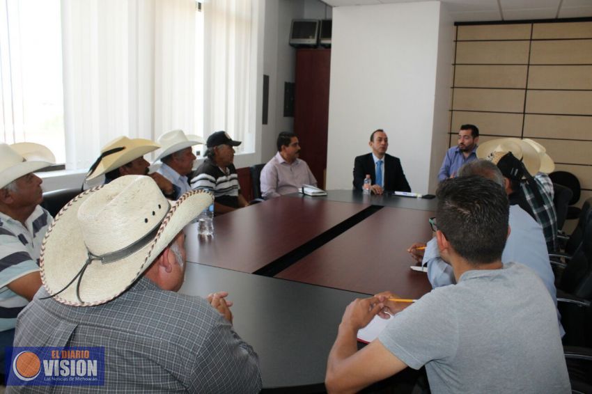 Apoyar a los productores michoacanos, es fortalecer el mercado interno: Antonio Soto