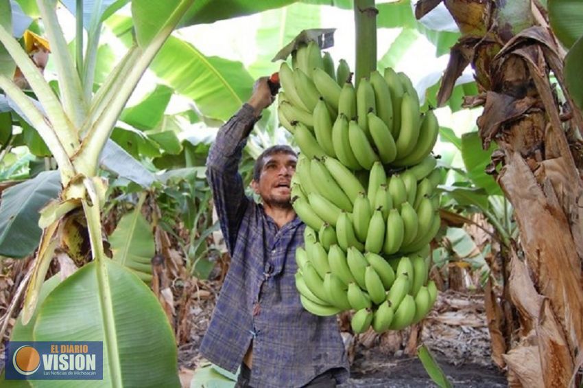 En Coahuayana, la 1ª Expo Agroalimentaria 2018, anuncia Sedrua
