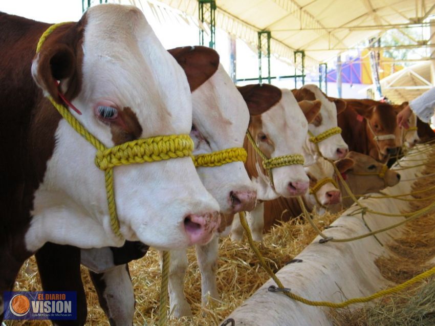 Gobierno del Estado ha invertido 128 mdp en el agro del Oriente: Sedrua
