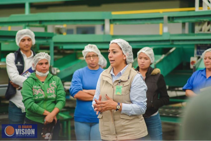 Aguacateros respaldan proyecto de Alma Mireya