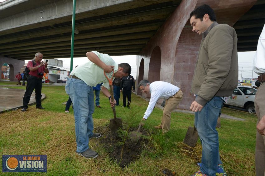 Reforestación y entrega del Decreto como Zona de Restauración Ambiental en el “Cerro de la Caja”