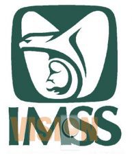 Inicia IMSS construcción del centro de Atención Rural Obstétrica