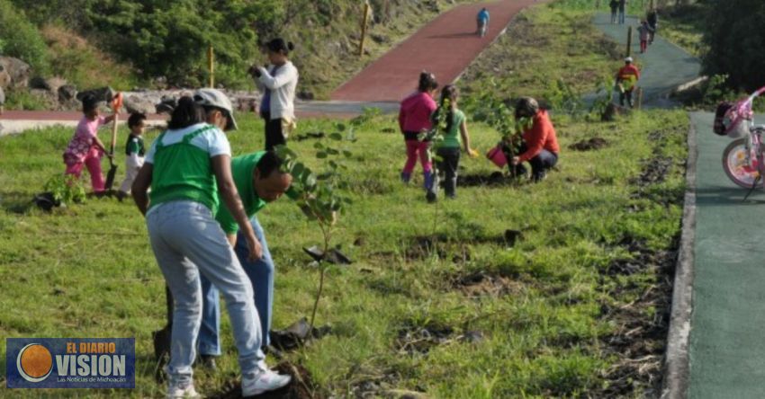 Propone Raúl Morón camellones arbolados, reforestación y azoteas verdes para mejorar el clima 