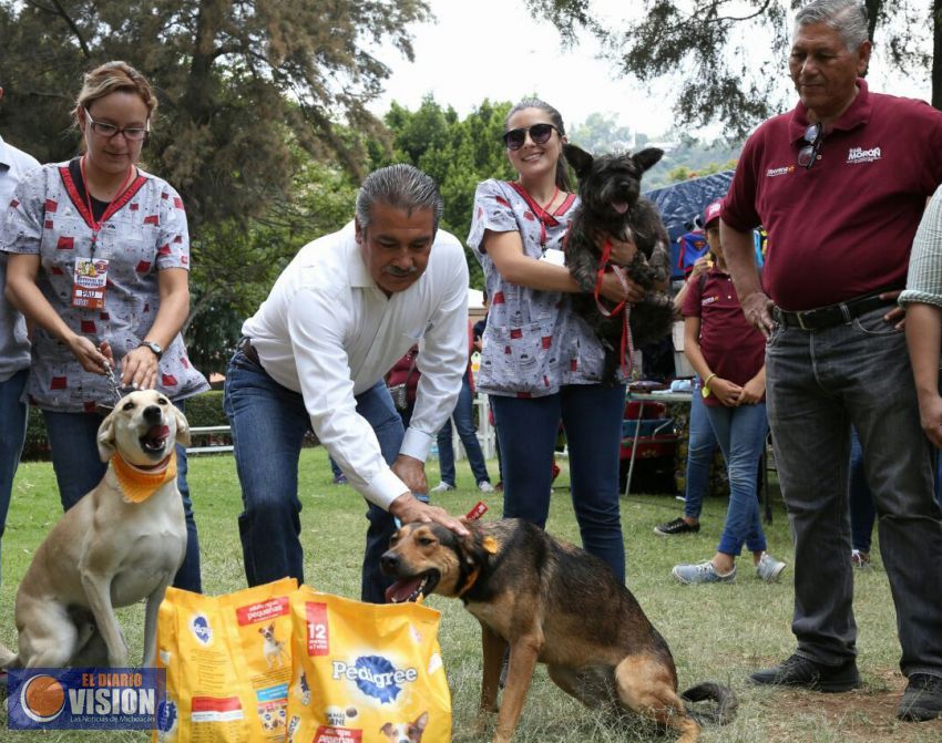 Raúl Morón impulsará en Morelia Políticas Públicas hacia el Bienestar Animal