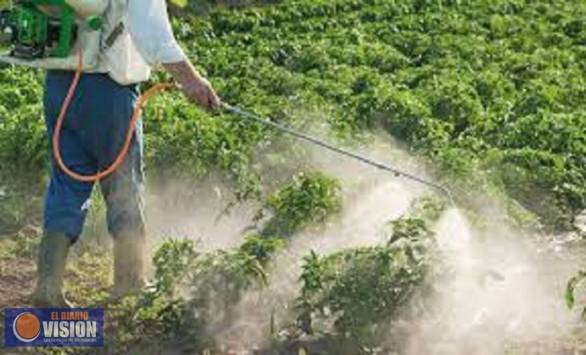 Invita Sedrua al taller: Buen Uso y Manejo de Agroquímicos