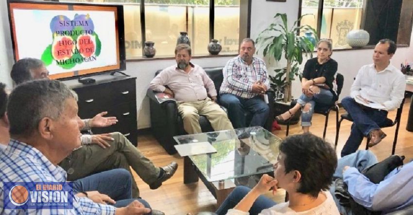 Se expande cultivo de higo en Michoacán: Sedrua