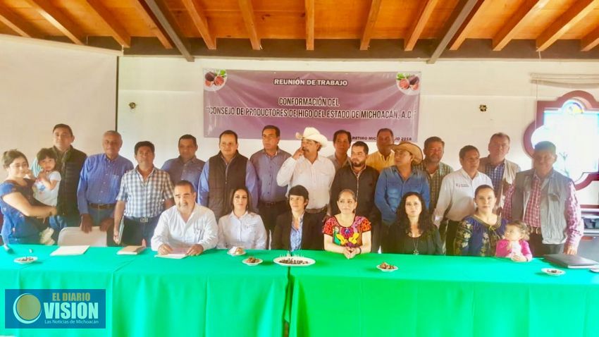 Constituyen el Consejo Estatal de Productores de Higo en Michoacán