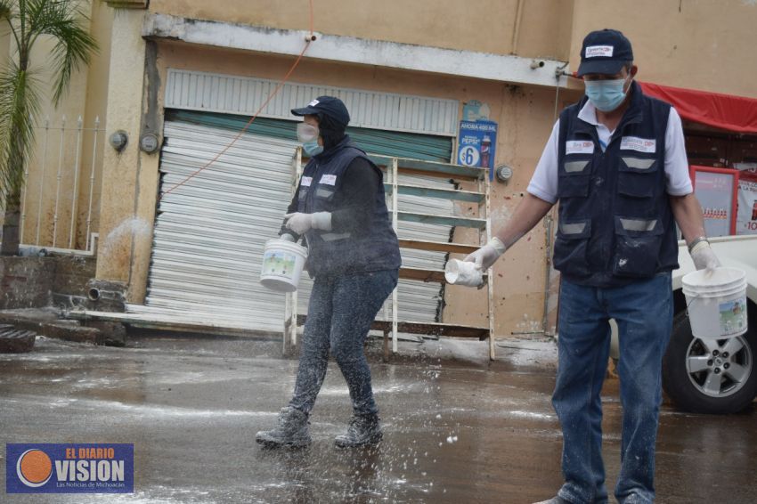 Disminuyen en Michoacán enfermedades transmitidas por vector: SSM