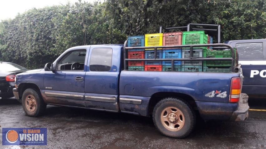 Por no acreditar la procedencia legal de 58 cajas de aguacate, Policía Michoacán puso a disposición