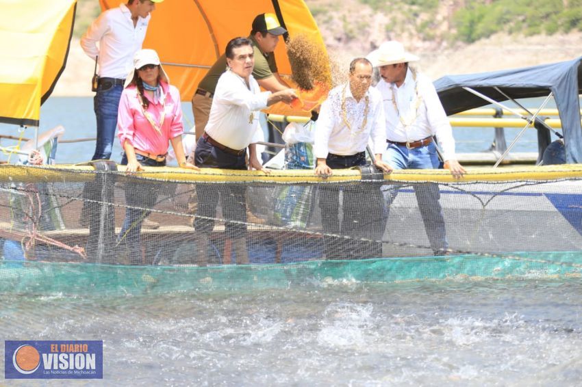Buscará Michoacán primer lugar en producción de tilapia: Silvano Aureoles 