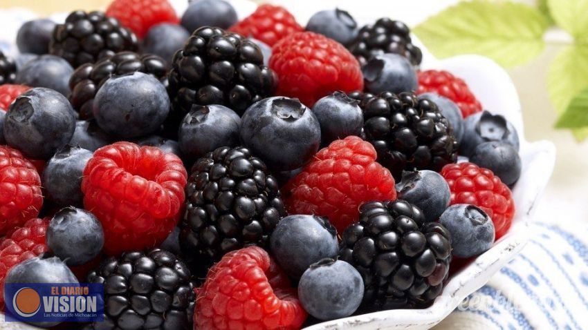 Líderes, 45 productos del campo michoacano: Sedrua
