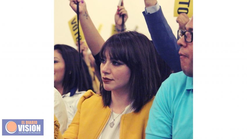 Celebro resolución de la Sala Toluca a favor de Araceli Saucedo: Fany Santiago 