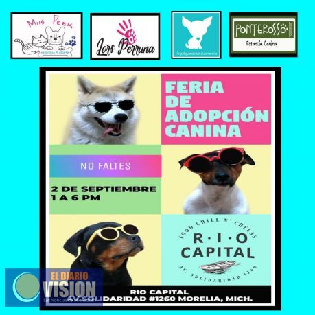 El domingo 2 de septiembre Feria de Adopción Canina en Río Capital, establecimiento Pet Friendly
