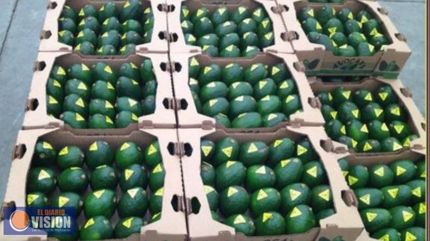 Michoacán, líder nacional en 45 productos del campo