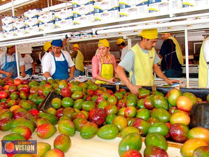 Crece exportación de 5 agroproductos michoacanos: Sedrua