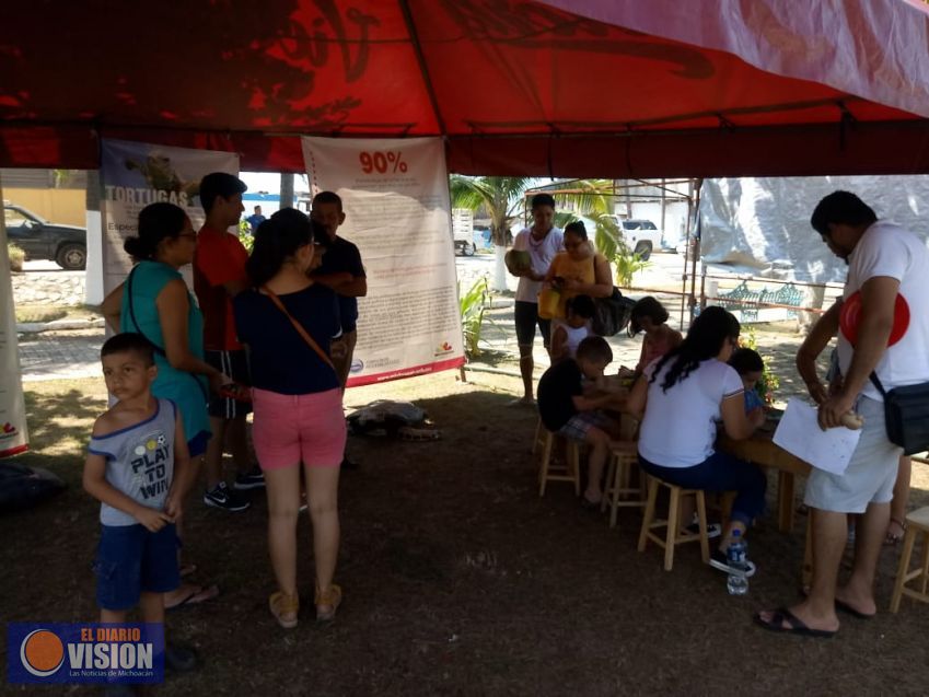 Protección a más de 584 mil huevos de tortuga: Compesca