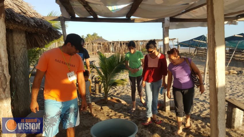 Intensifica Compesca protección de la tortuga marina