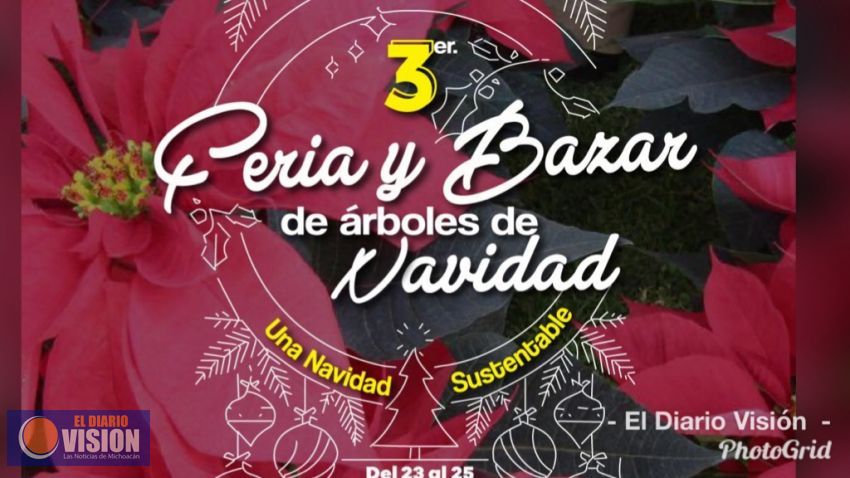 Michoacán, 4º lugar nacional, en producción de árboles de Navidad