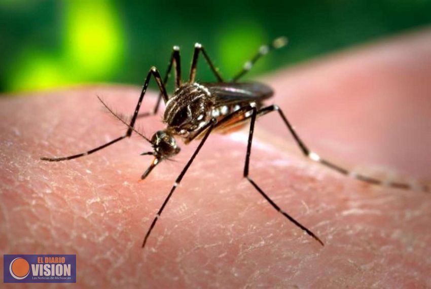 A la baja casos de zika en Michocán