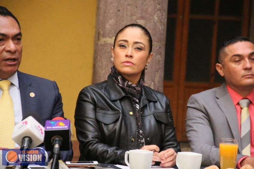 Alarmante el retroceso en materia de cultura previsto en el PEF: Miriam Tinoco