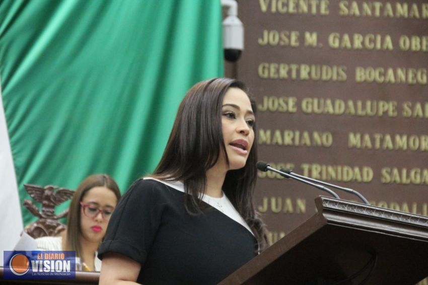 Obligación garantizar fomento y uso de energías limpias: Miriam Tinoco