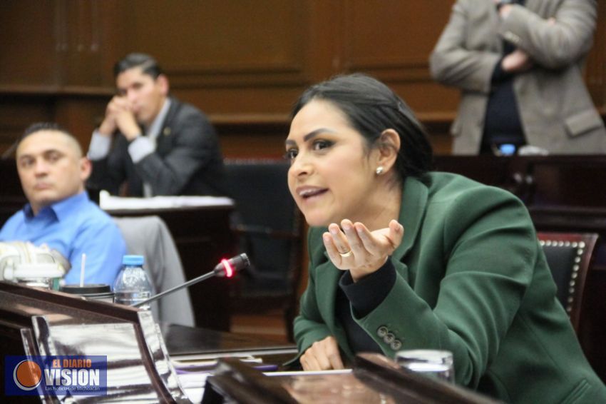 Michoacán recibirá 135.5 mdp menos en materia de turismo en el 2019: Araceli Saucedo