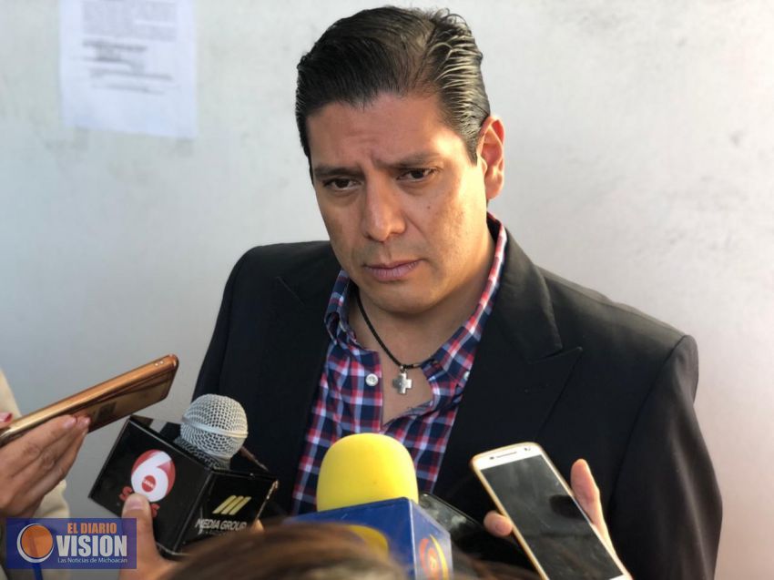Partido Verde Michoacán se solidariza con la seguridad de las mujeres