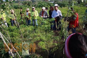 Inicia campaña de reforestación en la UTM