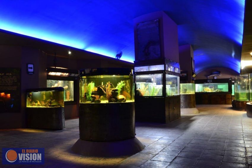 El Zoo de Morelia, primer Museo Viviente de México