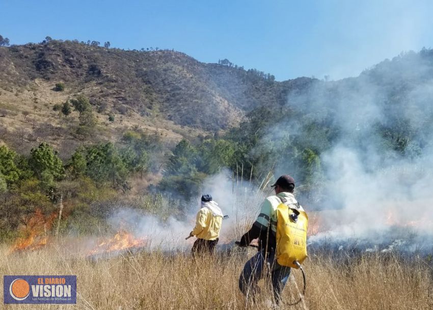 Fortalece Semaccdet acciones para prevención de incendios forestales en el Estado