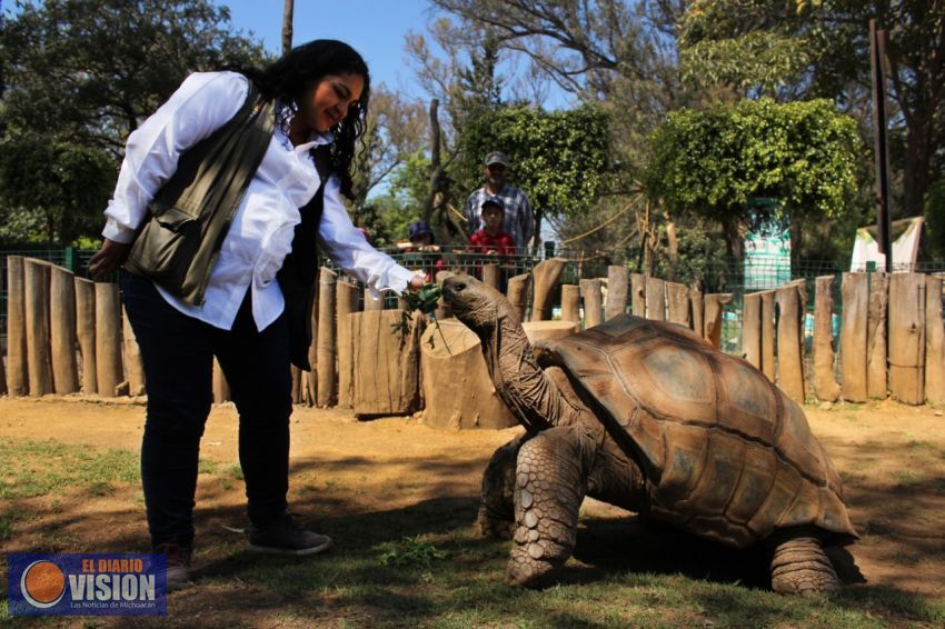 Mujeres, las grandes aliadas en la protección y preservación de especies animales 