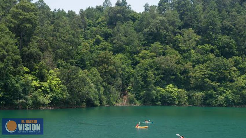 Atiende equipo intersectorial proliferación de algas en Lago de Zirahuén