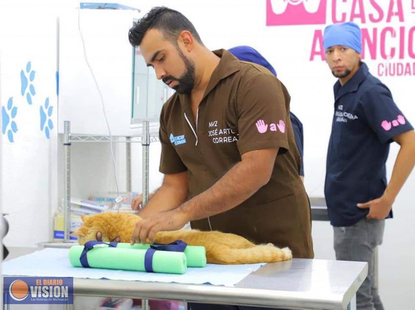 Realiza Mano a Mano primer campaña antirrábica gratuita en casa de atención