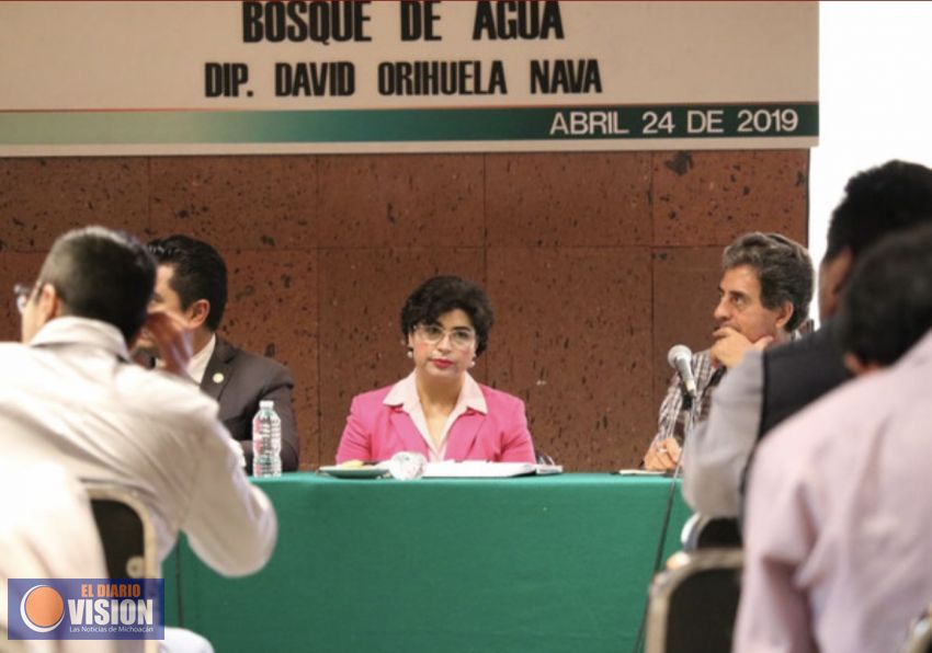 Asiste Anita Sánchez Castro al Foro: 