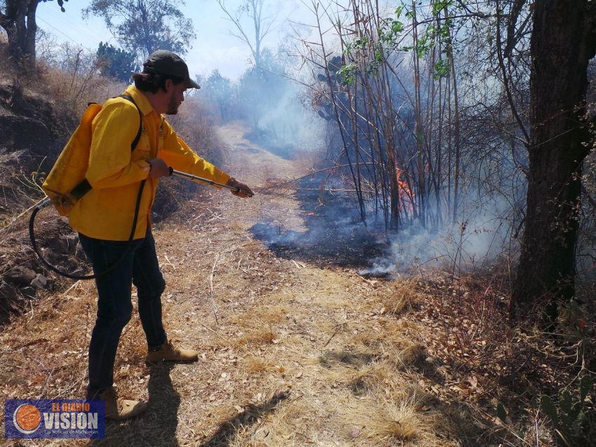 Hasta nueve años de cárcel a quien provoque incendios forestales: Semaccdet