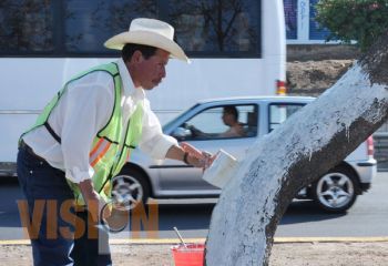 Parques y jardines realiza labores de remozamiento en Morelia