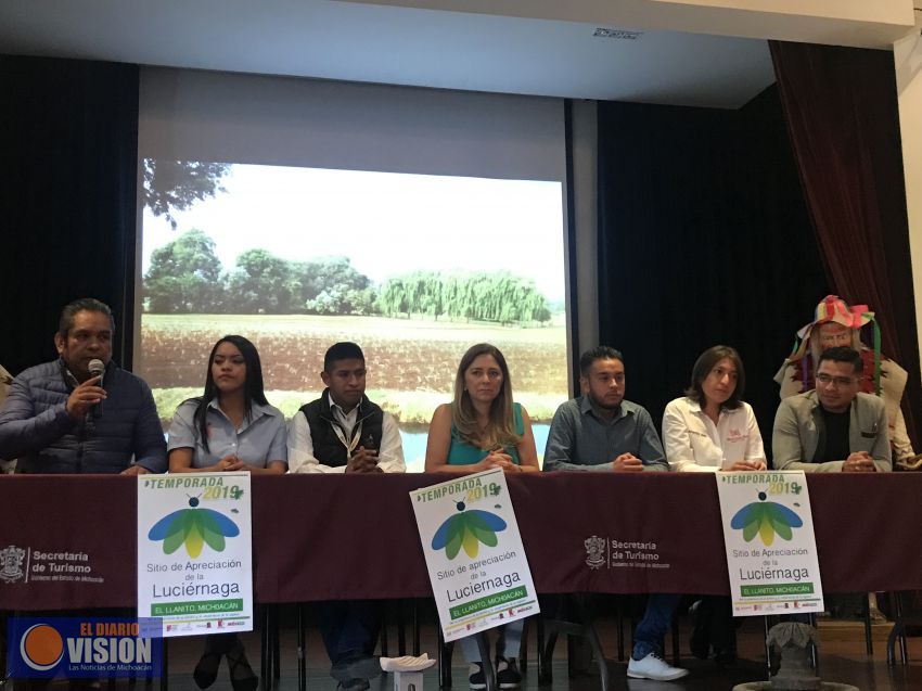 Próximamente, recorridos de apreciación de la luciérnaga en Tlalpujahua 