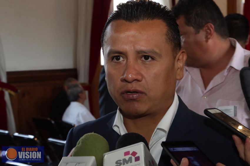 Llegarán a Michoacán un aproximado de seis mil elementos de la Guardia Nacional: Carlos Torres Piña