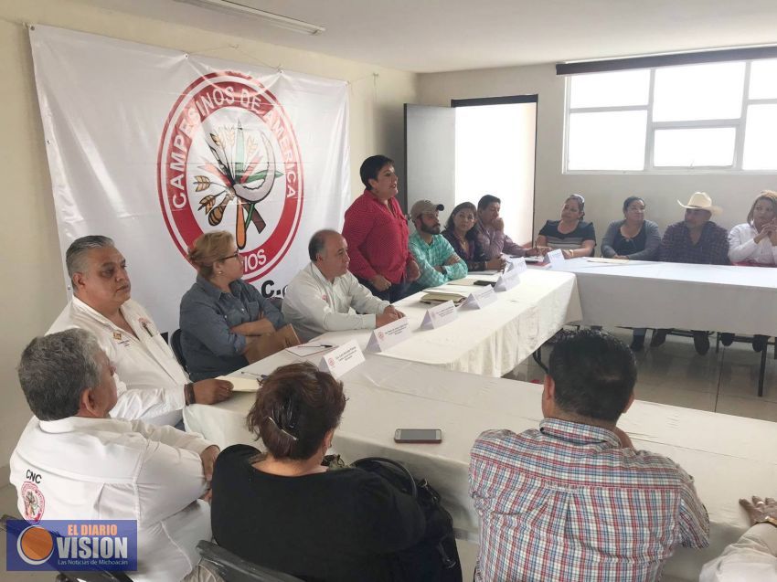 CNC conformará 5 mil comités de base en Michoacán 