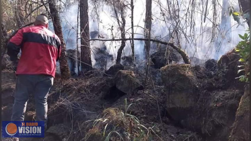 Atienden dependencias de los tres niveles de gobierno incendios en Michoacán