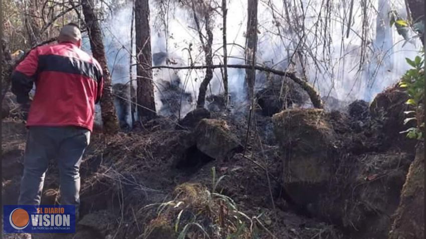 En alerta PC estatal y dependencias de los tres órdenes de gobierno ante incendios forestales