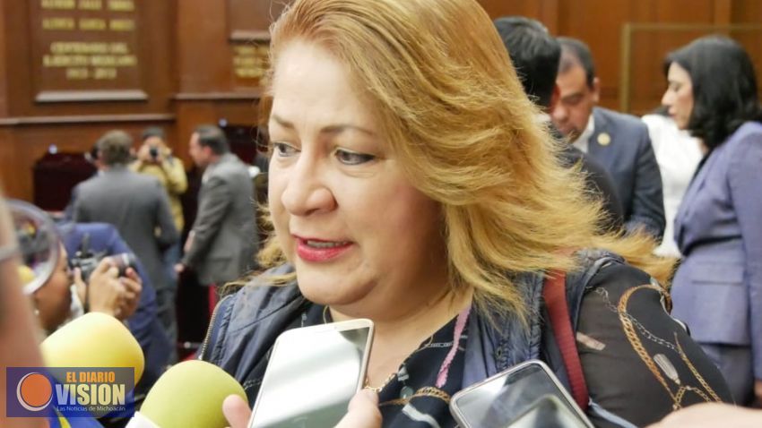 El único incentivo de mi trabajo parlamentario es, hacer lo mejor para las y los michoacanos”: CPA