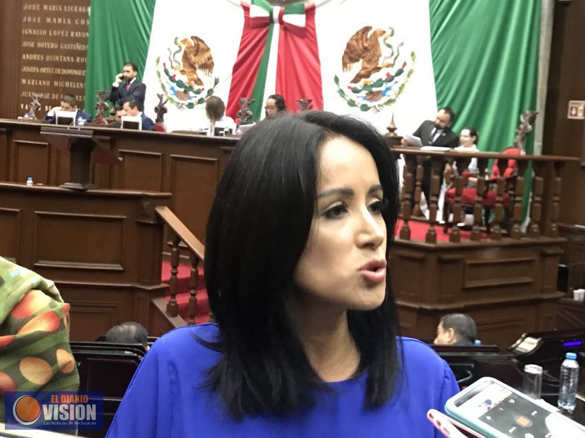 Problemas personales, deben de tratarse en otros espacios no en el Congreso: Lucila Martínez 